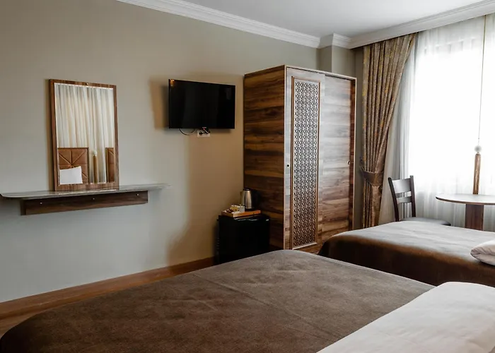 Madame Roza Provincia di Istanbul